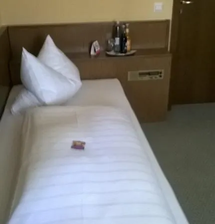Hotel Rheinhotel Luxhof 3*