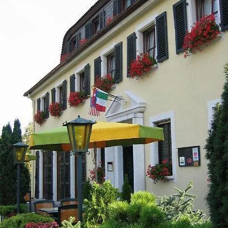 Hotel Rheinhotel Luxhof Espira